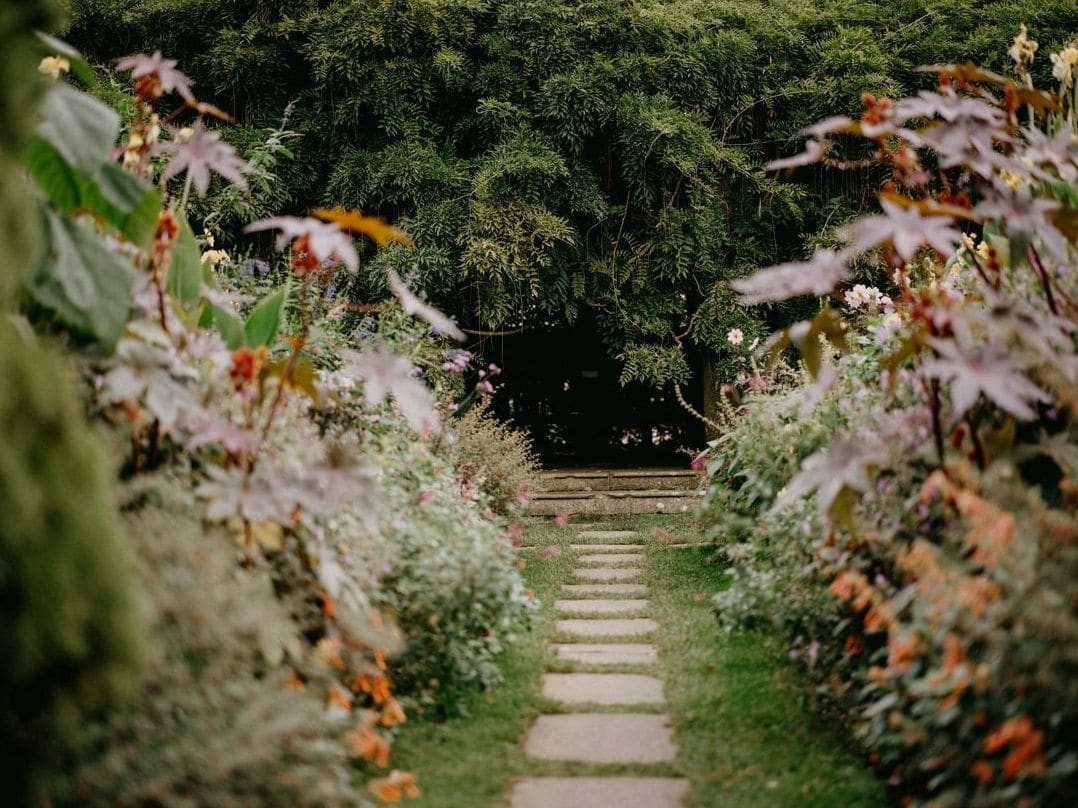 翠風ガーデン 15
